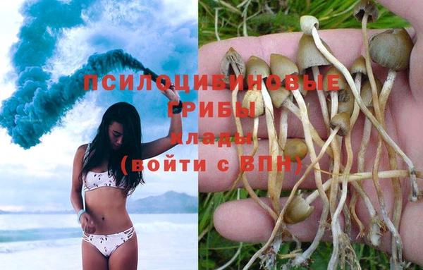 дурь Арсеньев