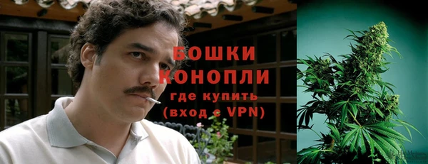 сатива Балабаново