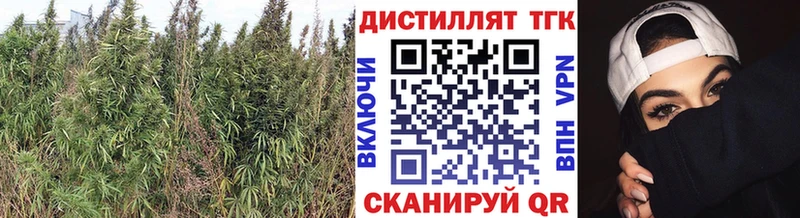 Дистиллят ТГК жижа  Купить  Нюрба 