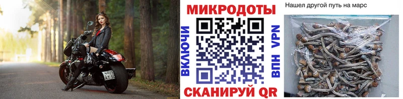 Псилоцибиновые грибы GOLDEN TEACHER  Купить где  Нюрба 